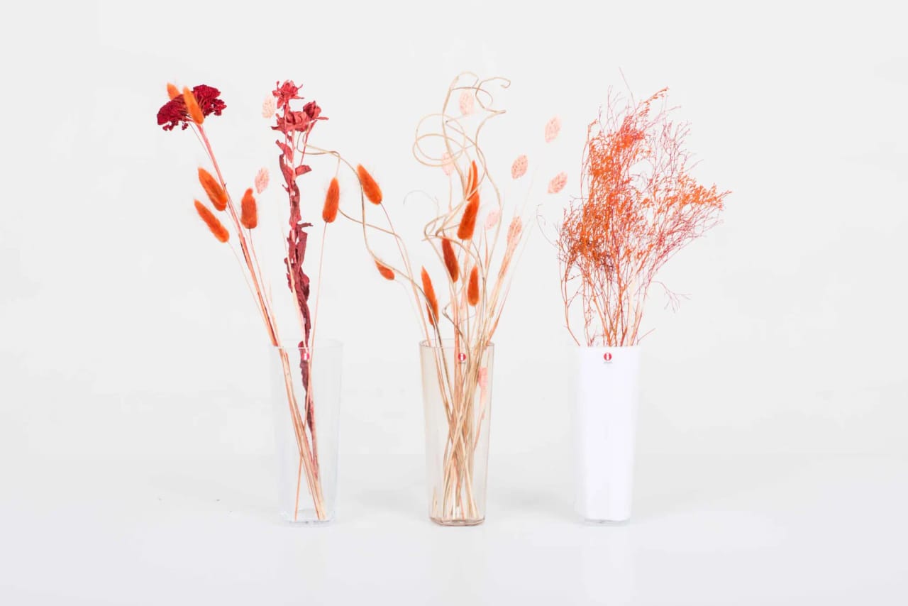 Alvar Aalto Vase von Iittala 180mm - verschiedene Farben